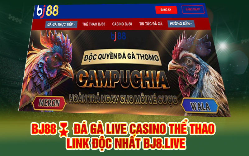 BJ88?️ Đá gà Live Casino Thể thao - Link độc nhất madeineastanglia.co.uk